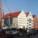 DSCF5989