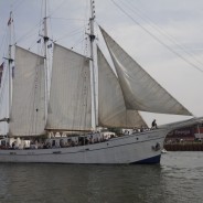 Baltic Sail Gdańsk 2015