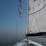 sam_7954
