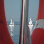 sam_7981