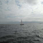 sam_8333