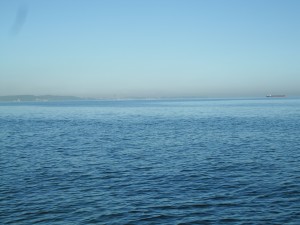sam_8605