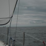 sam_9799