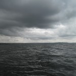 sam_9879