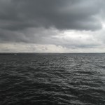 sam_9889